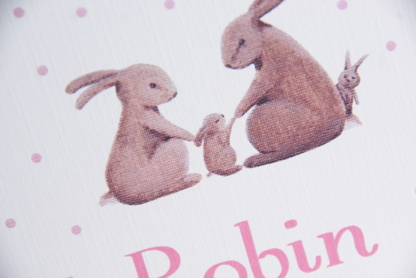 geboortekaartje robin lichtroze